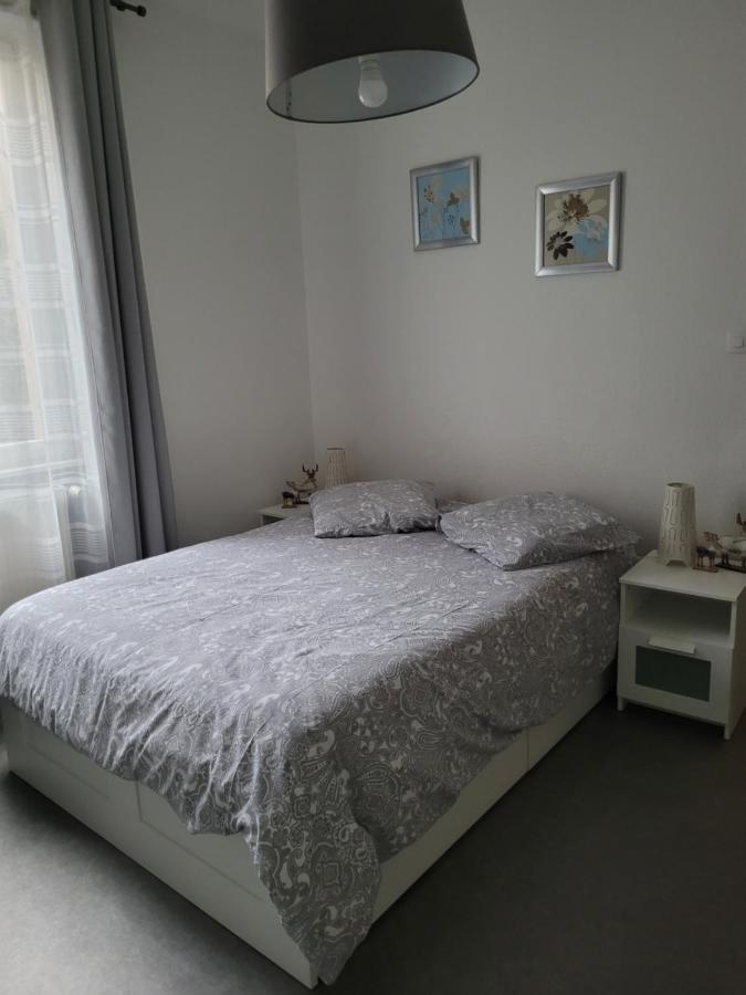 Appartement T3 Tres Calme - Le Bartholdi - Centre De Кольмар Екстер'єр фото